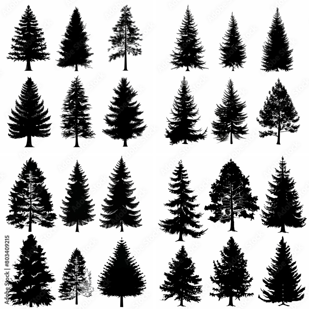 black tree silhouette set pure badge eco outline recreation breath emblem label protection graphic pine trunk woodland black tree silhouette set pure badge eco outline recreation breath emblem label protection graphic pine trunk woodland