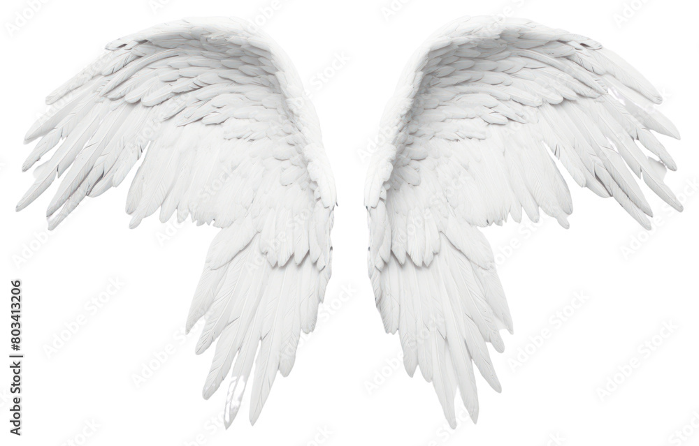 PNG White angel wing bird transparent background PNG White angel wing bird transparent background