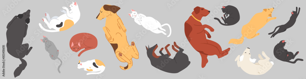 Cute sleeping pets top view set with cats and dogs lying in different pose vector illustration isolated on white background. Relaxed domestic animals, lazy puppy and kitten cartoon characters Cute sleeping pets top view set with cats and dogs lying in different pose vector illustration isolated on white background. Relaxed domestic animals, lazy puppy and kitten cartoon characters
