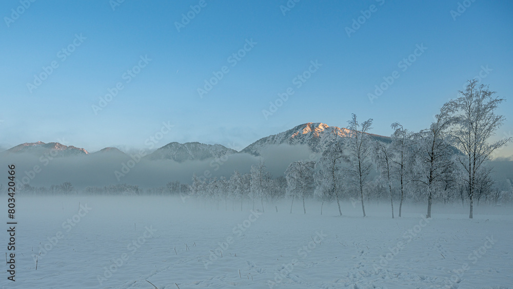 Winterlandschaft 