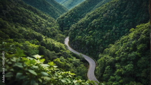 Bird's-eye perspective, winding mountain road cutting through dense emerald forest canopy