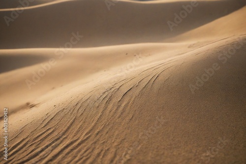 sand dunes of desert