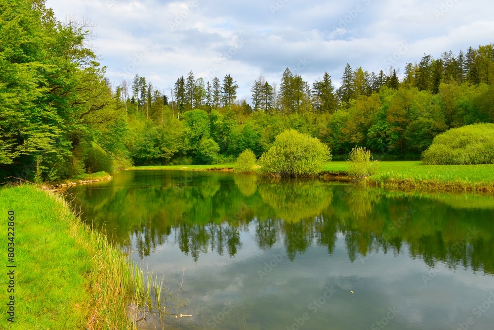 View of Rak river with a reflection of the trees in the water in summer at Rakov Škocjan, Notranjska, Slovenia