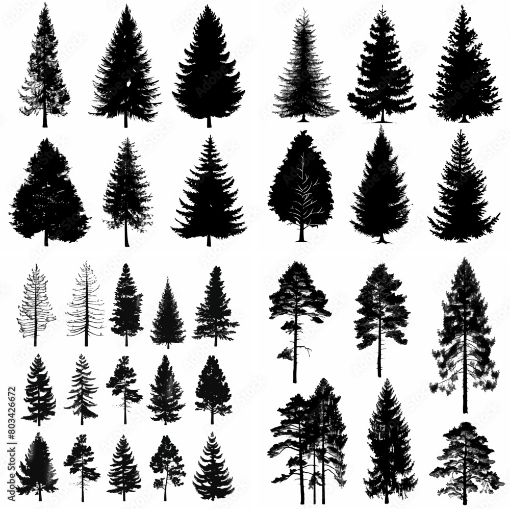 Obraz premium black tree silhouette set pure badge eco outline recreation breath emblem label protection graphic pine trunk woodland