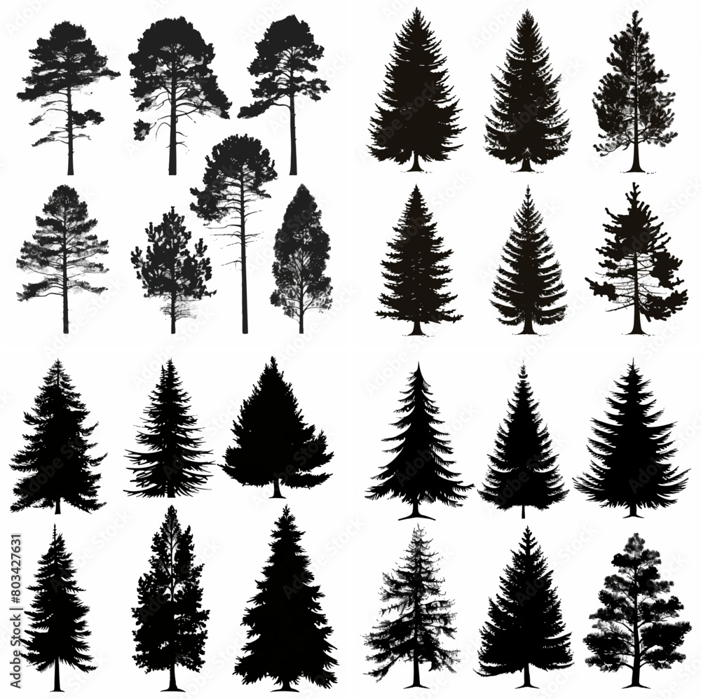 Obraz premium black tree silhouette set pure badge eco outline recreation breath emblem label protection graphic pine trunk woodland