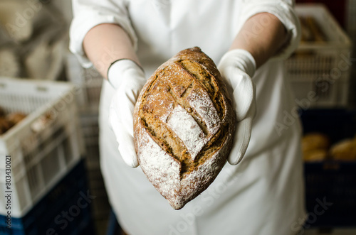 In hands holding freshly baked sourdough bread with a golden crust straight from the bakery oven.