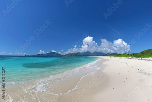 A panoramic view of a tropical beach with turquoise waters and powdery white sand, under a cloudless blue sky.