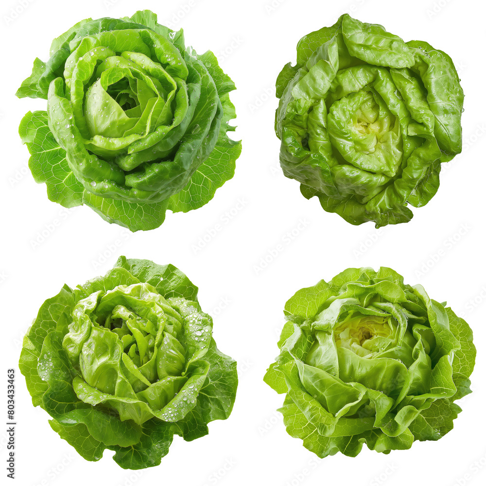 Lettuce, Isolated, Transparent Background Lettuce, Isolated, Transparent Background