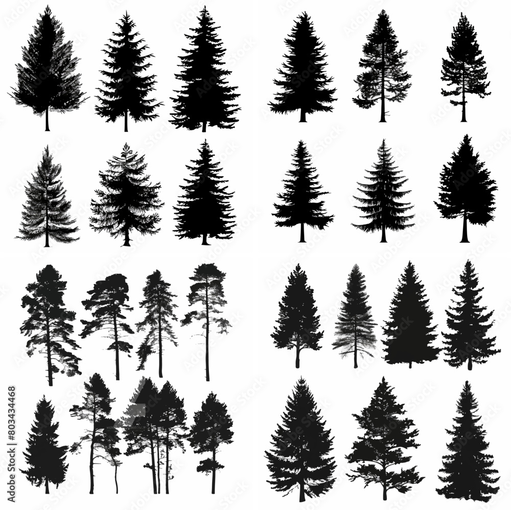 Obraz premium black tree silhouette set pure badge eco outline recreation breath emblem label protection graphic pine trunk woodland