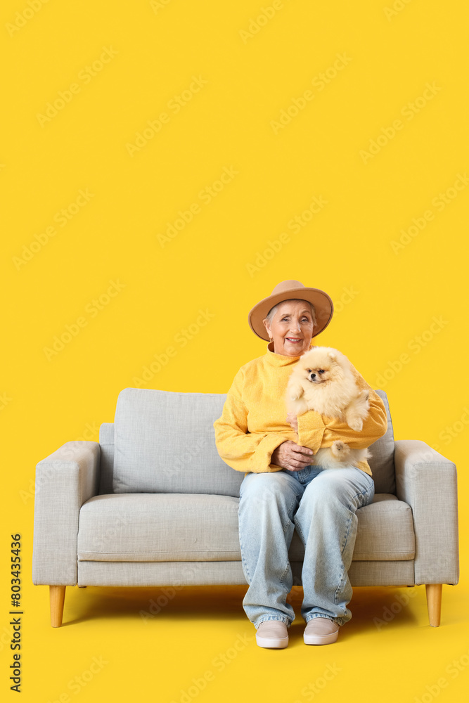 Senior woman with Pomeranian dog sitting on sofa against yellow background Senior woman with Pomeranian dog sitting on sofa against yellow background