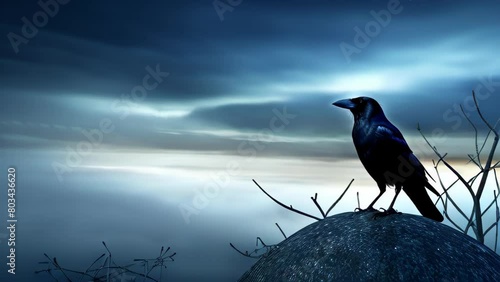 Black Raven sitting on a branch of old dry tree against the background of a foggy sky