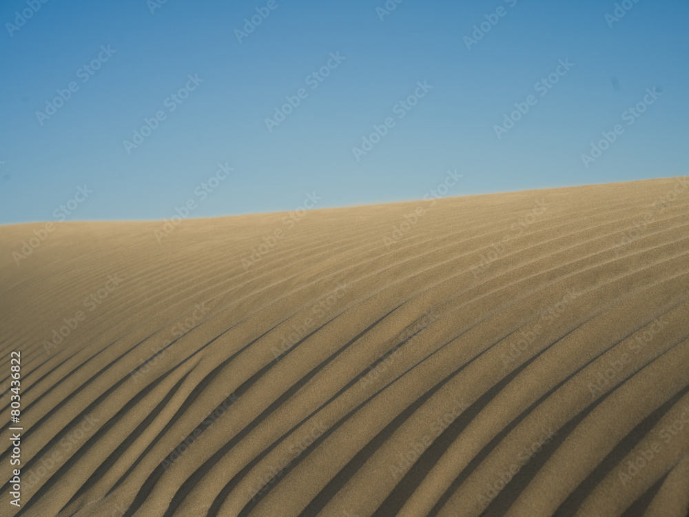 Naklejka premium sand dune in the desert