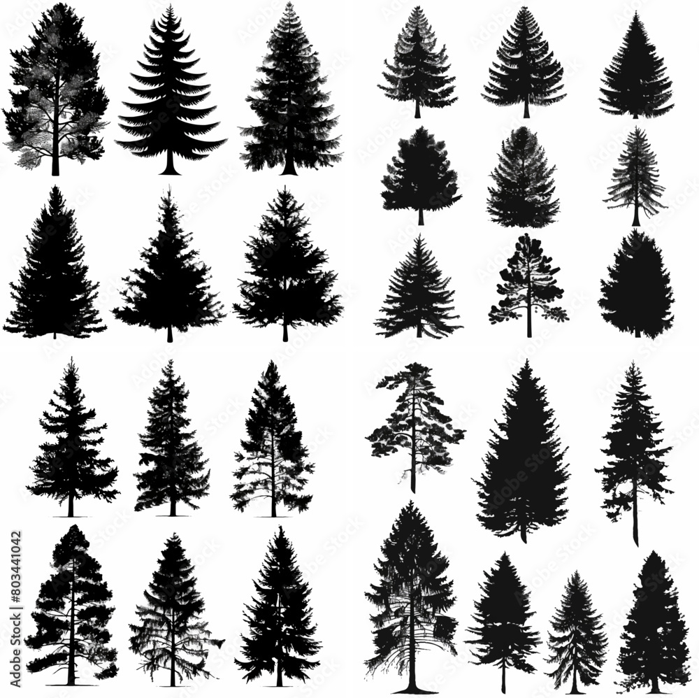 Obraz premium black tree silhouette set pure badge eco outline recreation breath emblem label protection graphic pine trunk woodland
