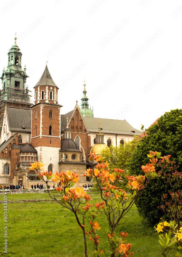 View of the Wawel Castle on a spring day. Location vertical. Krakow. Poland.