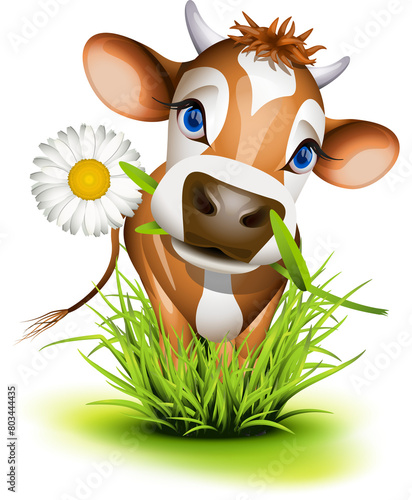 Jersey cow in green grass