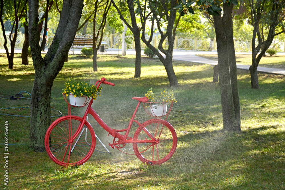 decorative bicycle with baskets of flowers. decoration of lawns in city parks and squares. landscape design and decorations. place for a photo. beauty in nature