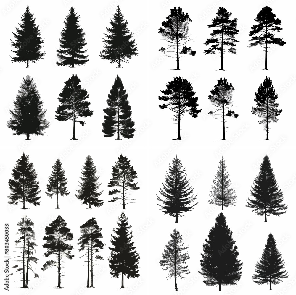 Obraz premium black tree silhouette set pure badge eco outline recreation breath emblem label protection graphic pine trunk woodland