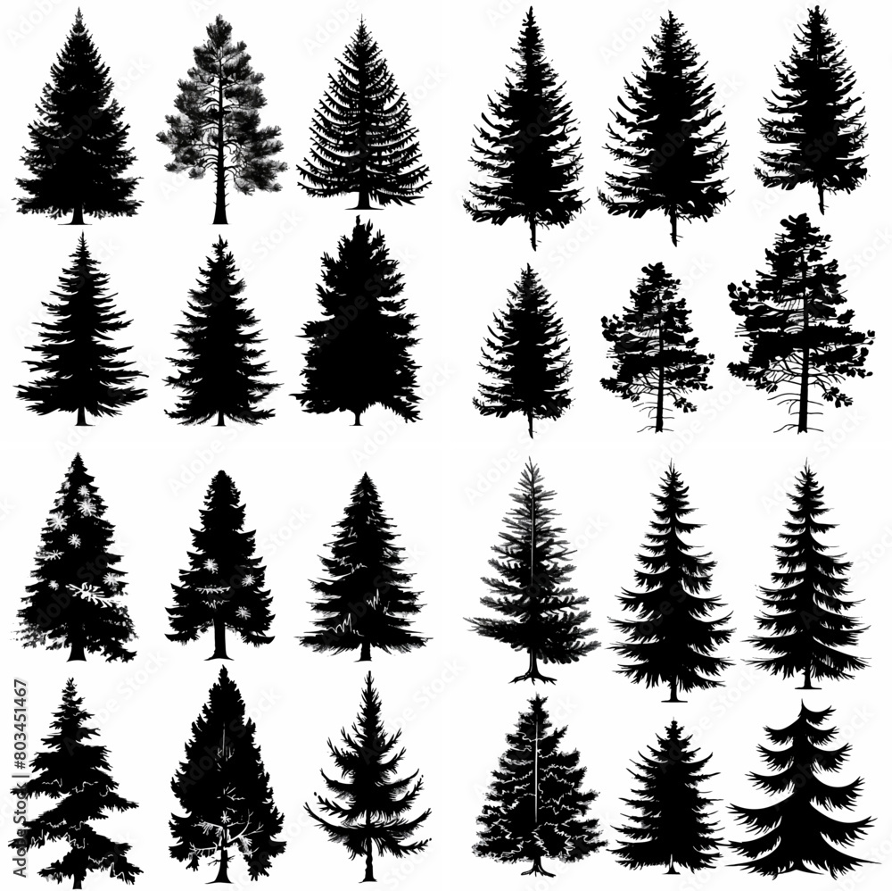 Obraz premium black tree silhouette set pure badge eco outline recreation breath emblem label protection graphic pine trunk woodland