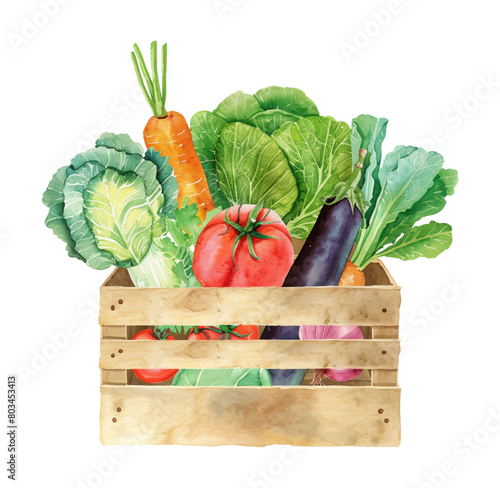 wooden vegetables box watercolor digital painting good quality