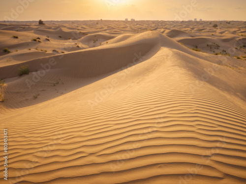 Landscape with Sand Dune, Liwa Oasis, Abu Dhabi, UAE photo