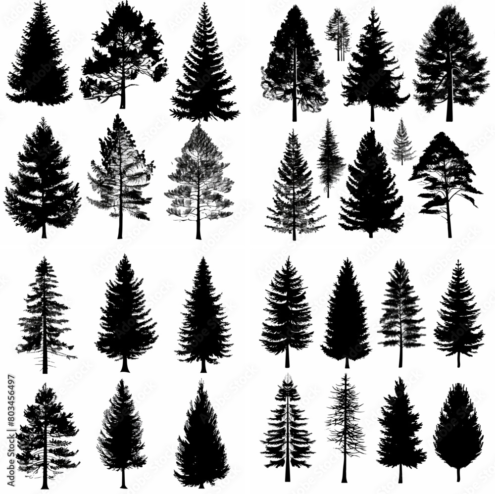 black tree silhouette set pure badge eco outline recreation breath emblem label protection graphic pine trunk woodland black tree silhouette set pure badge eco outline recreation breath emblem label protection graphic pine trunk woodland
