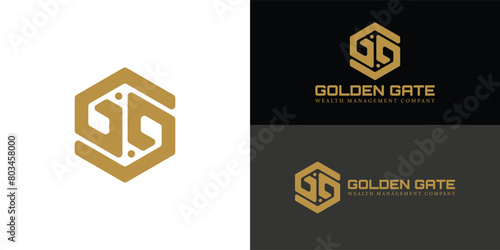 Abstract initial hexagon letter G or GG logo in gold color isolated on multiple background colors. The logo is suitable for wealth management business company icon logo design inspiration templates.