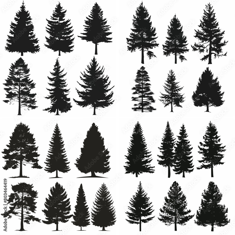 black tree silhouette set pure badge eco outline recreation breath emblem label protection graphic pine trunk woodland black tree silhouette set pure badge eco outline recreation breath emblem label protection graphic pine trunk woodland