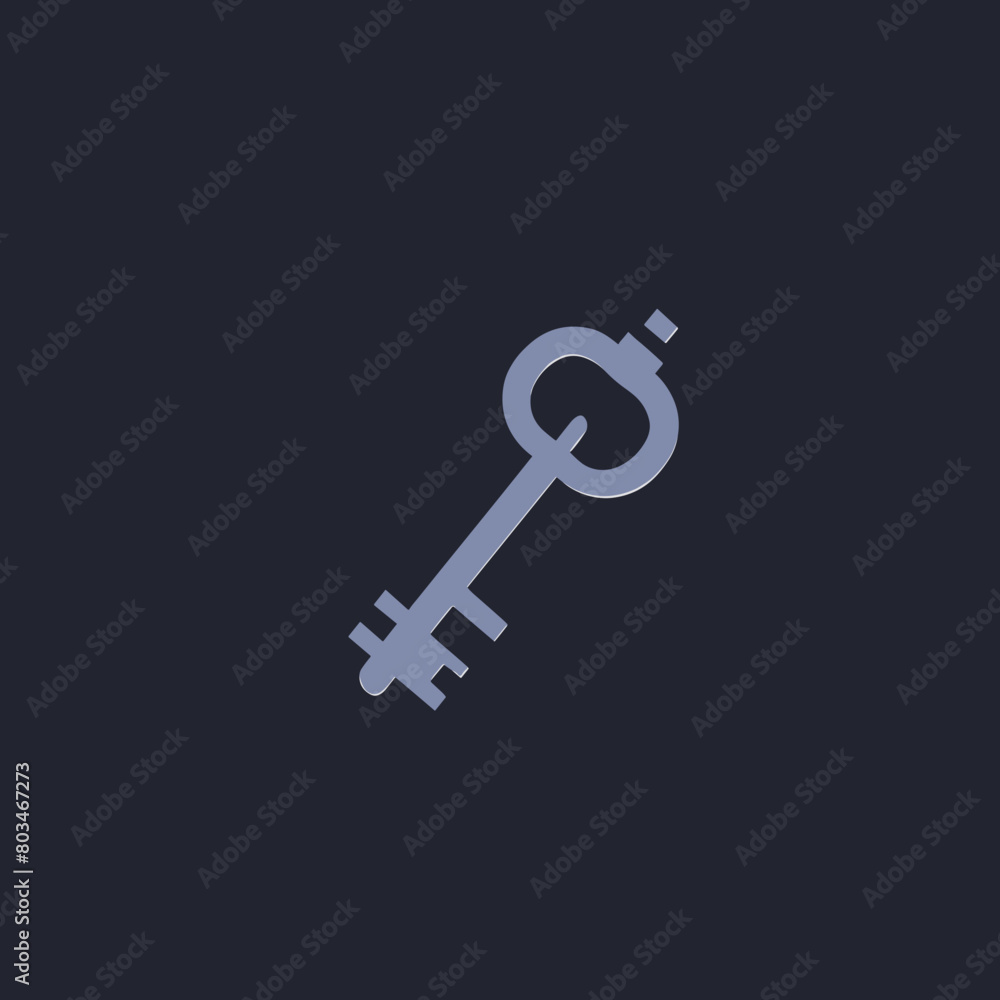 icon of a key icon of a key