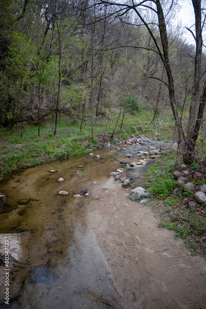 Stream in the spring