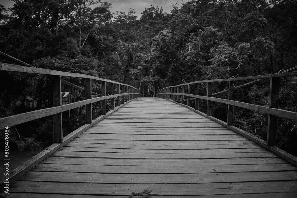 Obraz premium the wooden bridge in black and white