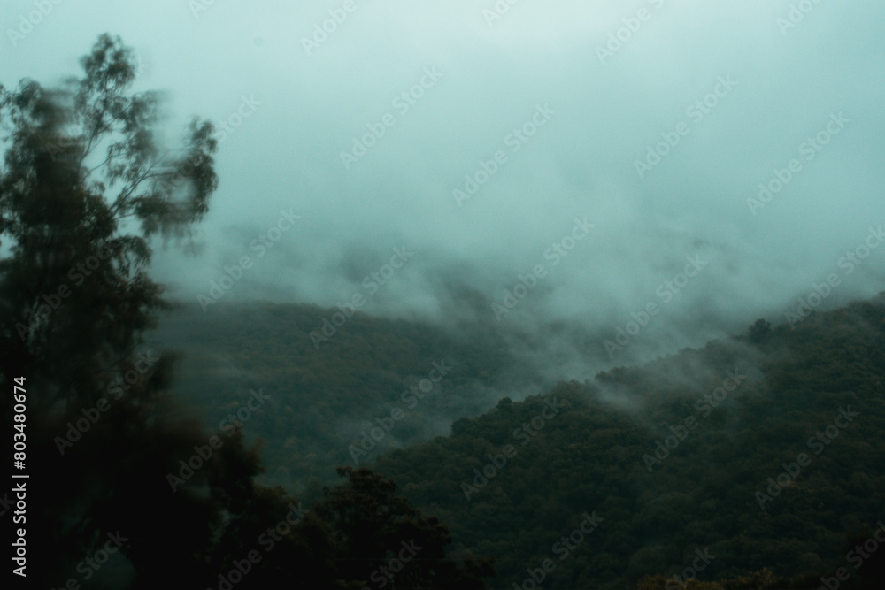 Fototapeta premium Cloud Forest in Salta Argentina on the road in a rainy day