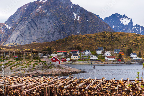 nature sceneries inside the area surroundings of Reine, Lofoten Islands, Norway, during the spring season photo