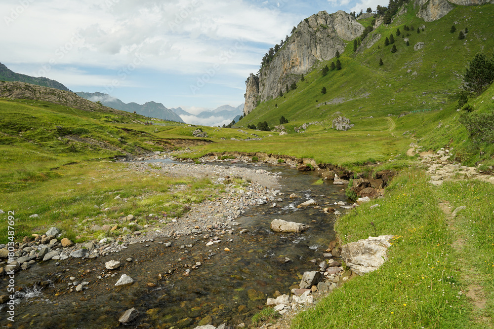 Beautiful mountain stream in Pyrenees (Lacs d' Ayous), popular hiking route, France