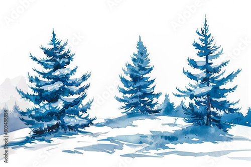 Hand drawn watercolor coniferous forest illustration, spruce. Winter nature, holiday background, conifer, snow, outdoor, snowy rural landscape.Mysterious fir or pine trees for winter Christmas design. © Mayava