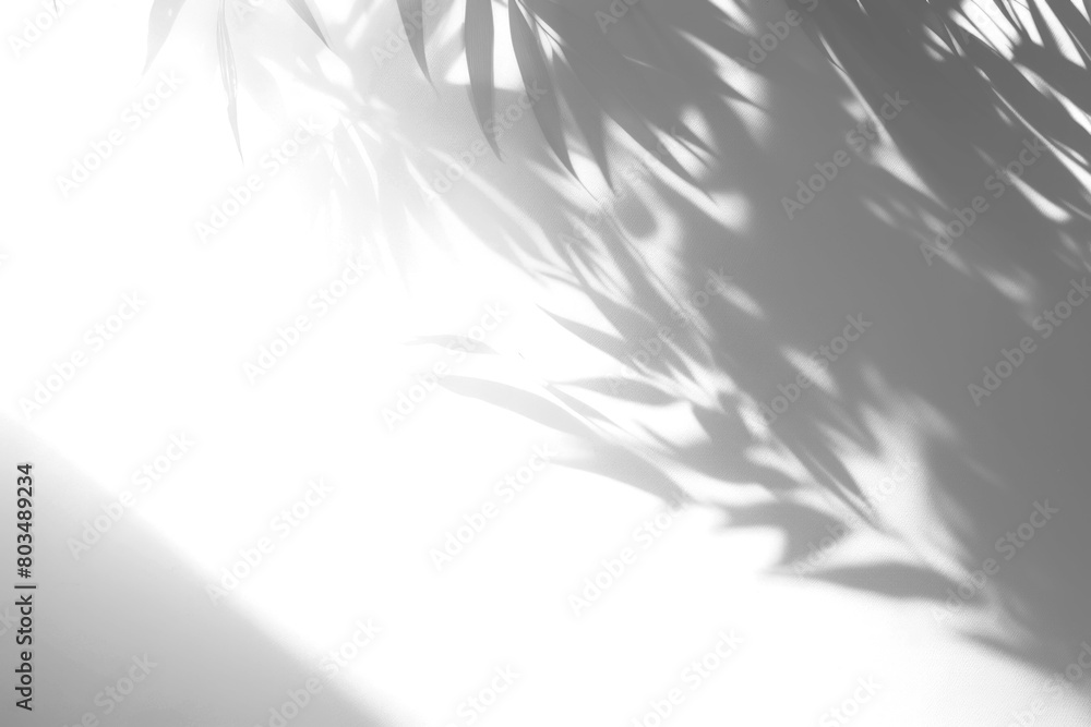 PNG Leaf shadow effect, transparent background PNG Leaf shadow effect, transparent background