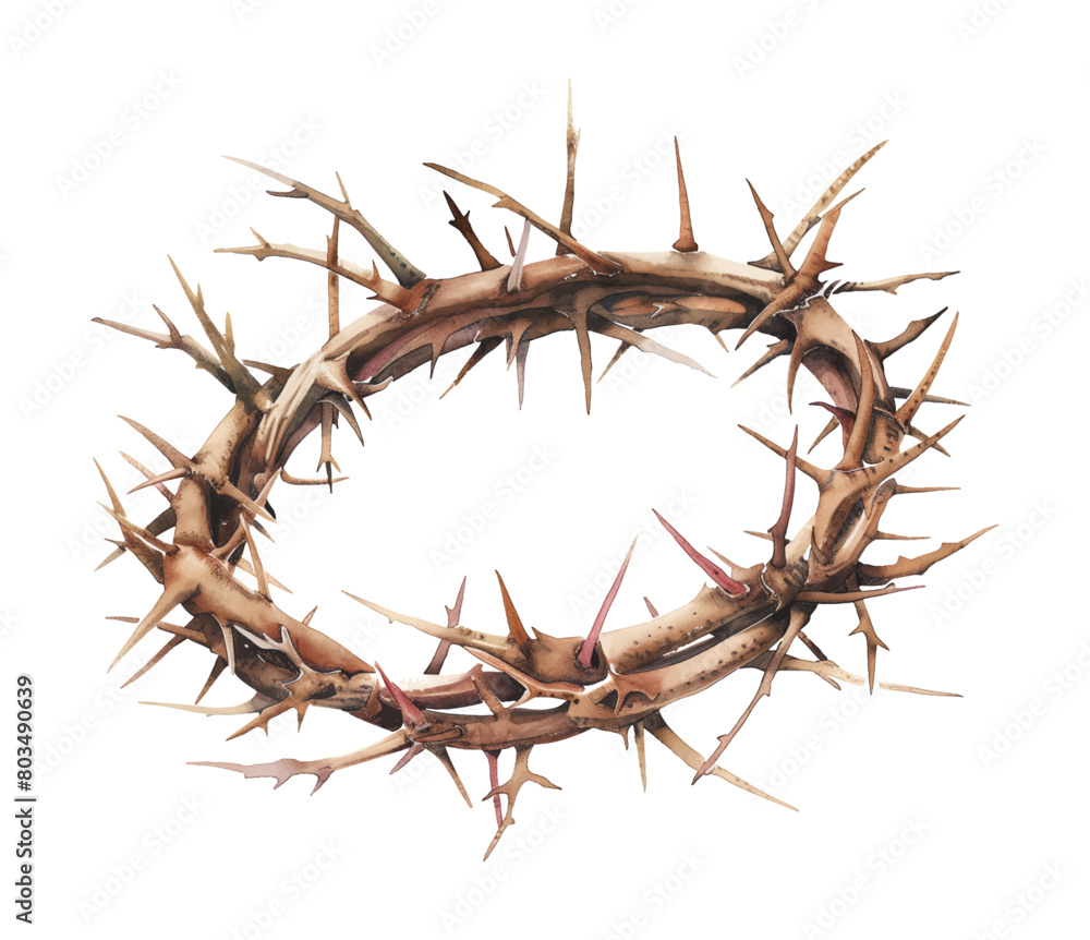 Fototapeta premium crown thorns watercolor digital painting good quality