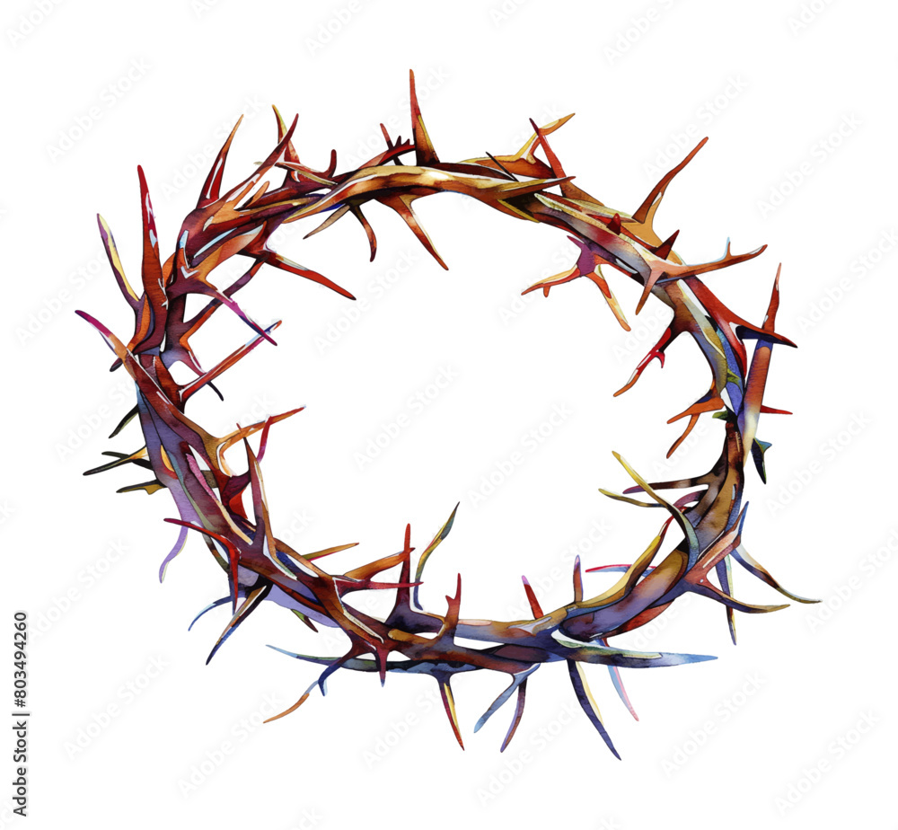 Fototapeta premium crown thorns watercolor digital painting good quality