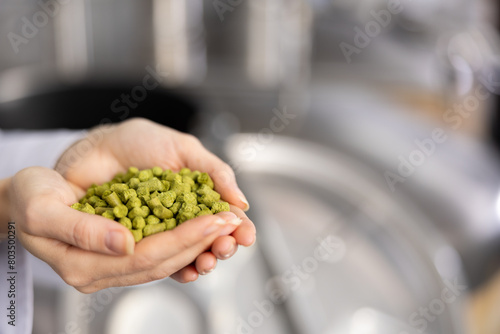 Hands of brewmaster holding bunch of green hops pellets.