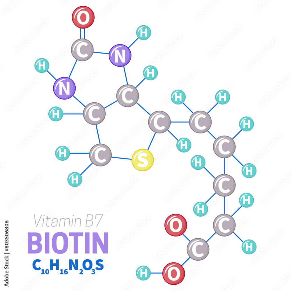 Biotin Vitamin B7 Molecule Structure Illustration Biotin Vitamin B7 Molecule Structure Illustration