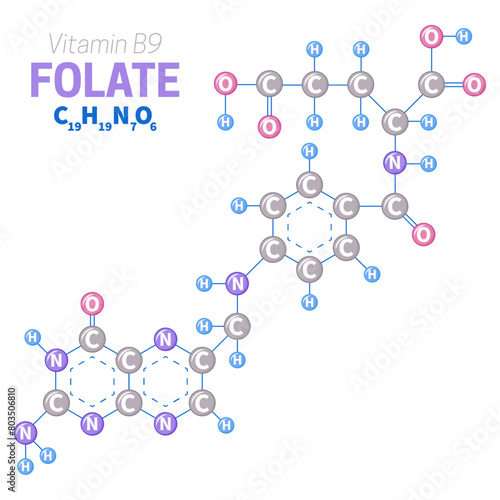 Folate or Vitamin B9 Molecule Structure Illustration