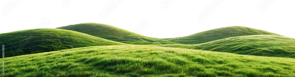 Panoramic green hills isolated on transparent background.