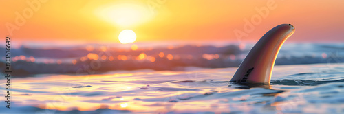 Beach surfboard fin web banner. Surfboard fin isolated against a stunning sunset background. photo