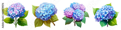 Collection of Hydrangea isolated on transparent png background. Generative ai