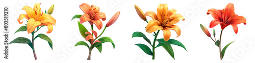 Collection of Lily isolated on transparent png background. Generative ai