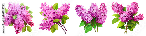 Collection of Lilac isolated on transparent png background. Generative ai