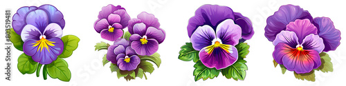 Collection of Pansy isolated on transparent png background. Generative ai