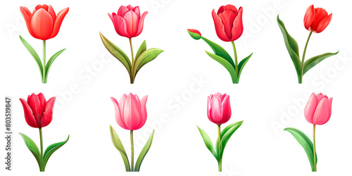 Collection of Tulip isolated on transparent png background. Generative ai