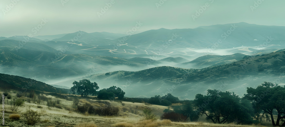 Misty morning in the chaparral, with the fog weaving through the hills and valleys, creating a mysterious and ethereal atmosphere, photographed using a high ISO setting for low light capture Misty morning in the chaparral, with the fog weaving through the hills and valleys, creating a mysterious and ethereal atmosphere, photographed using a high ISO setting for low light capture