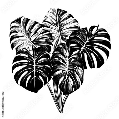 Monstera Plant, Philodendron, Fern, Black and White Logo 