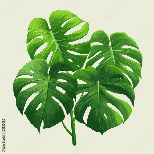 Vector Monstera, Philodendron, Fern, Green Botanical Logo